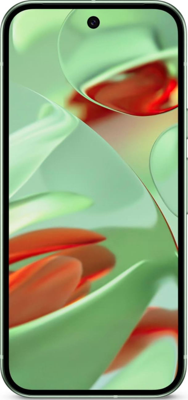 Google Pixel 9 12/256 Гб (Периодически перезагружается), Зимний зеленый