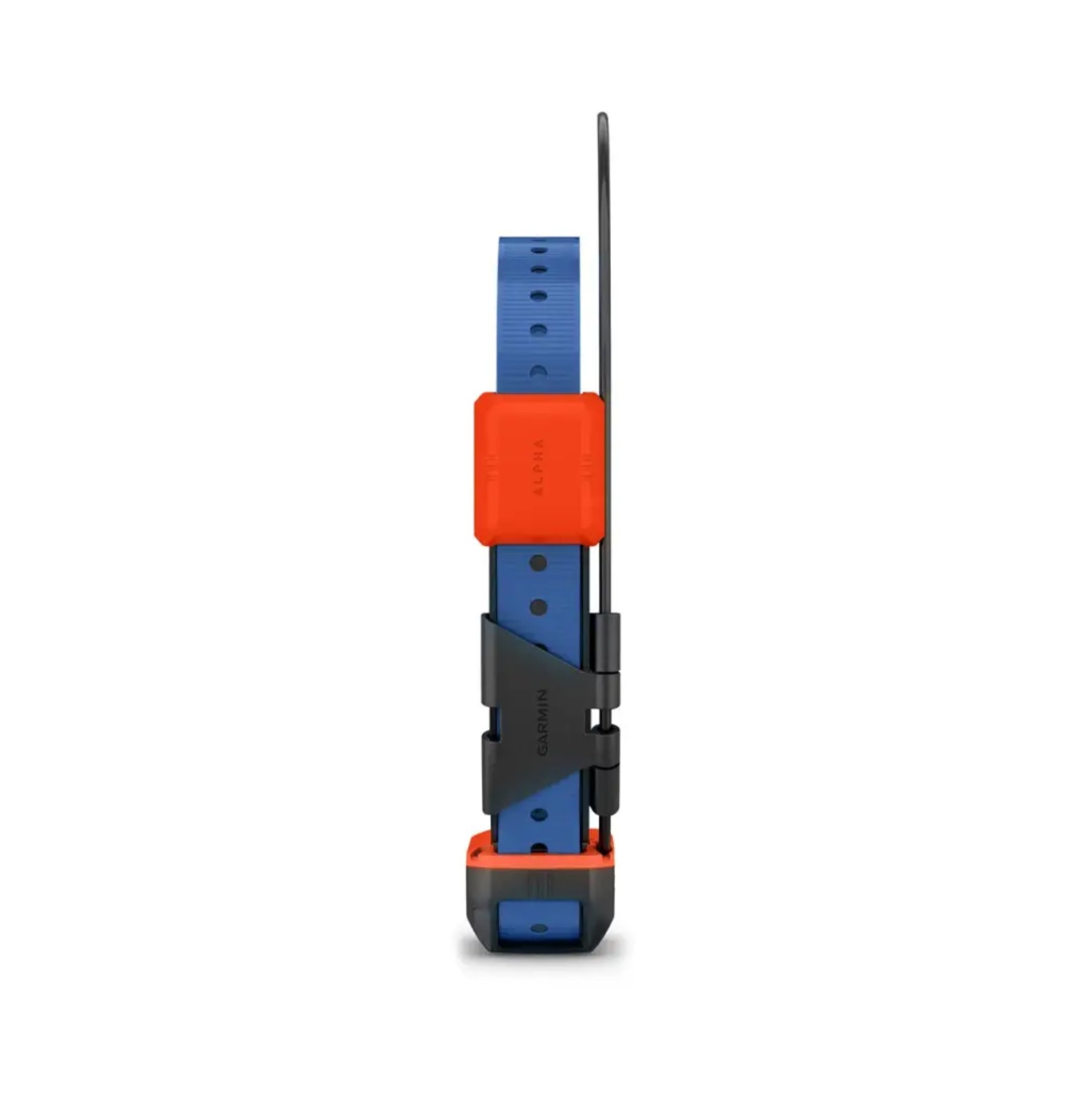 Gаrmin T20, GPS умный ошейник для собак